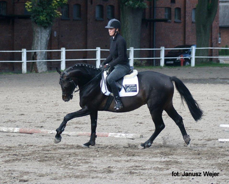 Dar Lord - Najlepszy Polski - Zakład Starogard Gdański 2010